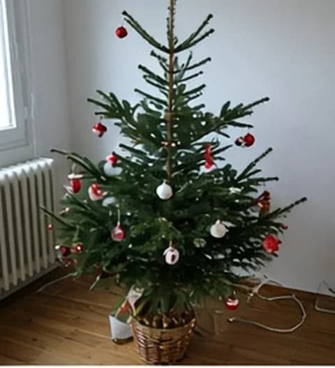 Un sapin familial naturel, décoré simplement dans un intérieur vécu, photo partagée depuis France