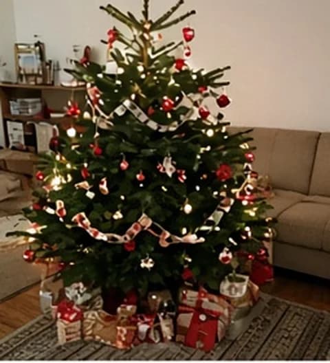Un sapin familial naturel, décoré simplement dans un intérieur vécu, photo partagée depuis Belgique