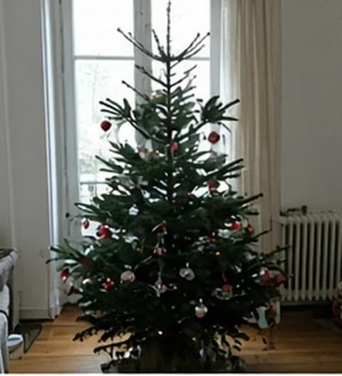 Un sapin familial naturel, décoré simplement dans un intérieur vécu, photo partagée depuis Canada
