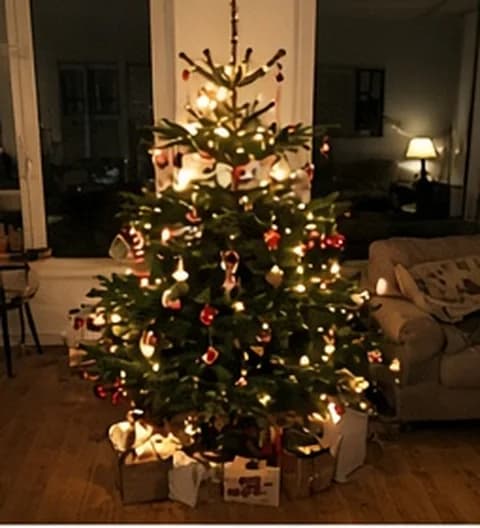 Un sapin familial naturel, décoré simplement dans un intérieur vécu, photo partagée depuis Suisse