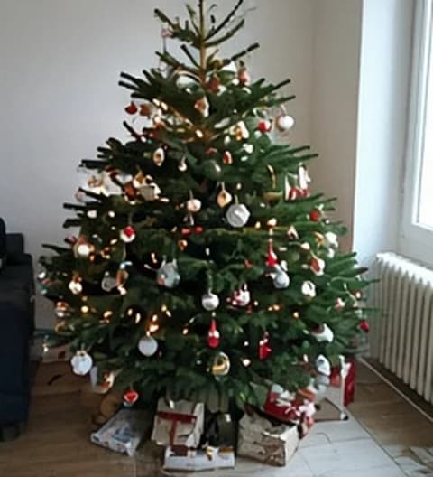 Un sapin familial naturel, décoré simplement dans un intérieur vécu, photo partagée depuis Canada