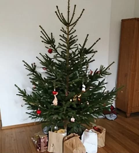 Un sapin familial naturel, décoré simplement dans un intérieur vécu, photo partagée depuis Suisse