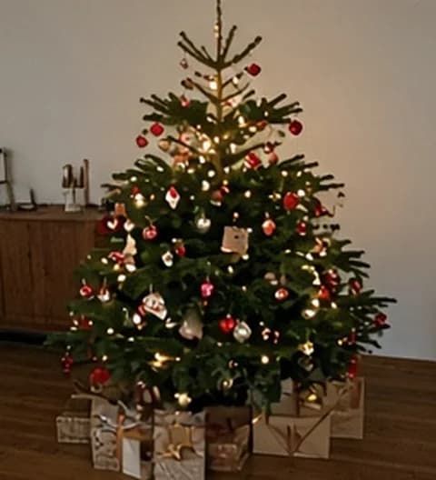 Un sapin familial naturel, décoré simplement dans un intérieur vécu, photo partagée depuis Canada