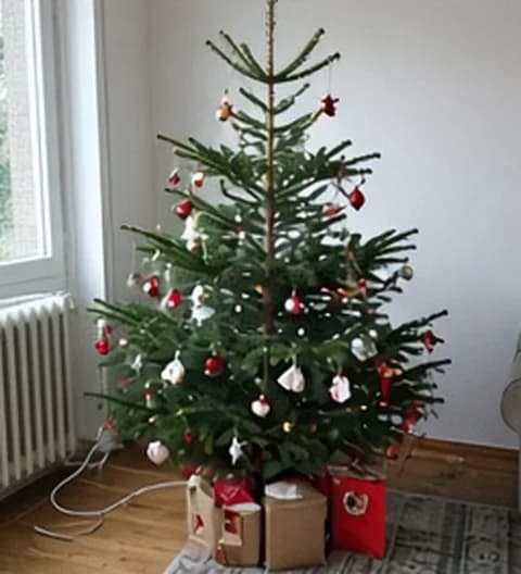 Un sapin familial naturel, décoré simplement dans un intérieur vécu, photo partagée depuis Suisse