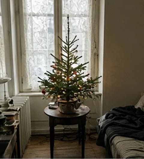 Un sapin imparfait installé dans un petit appartement en ville, photo partagée depuis France