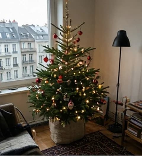 Un sapin imparfait installé dans un petit appartement en ville, photo partagée depuis Allemagne