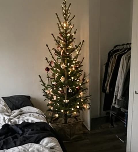 Un sapin imparfait installé dans un petit appartement en ville, photo partagée depuis Belgique