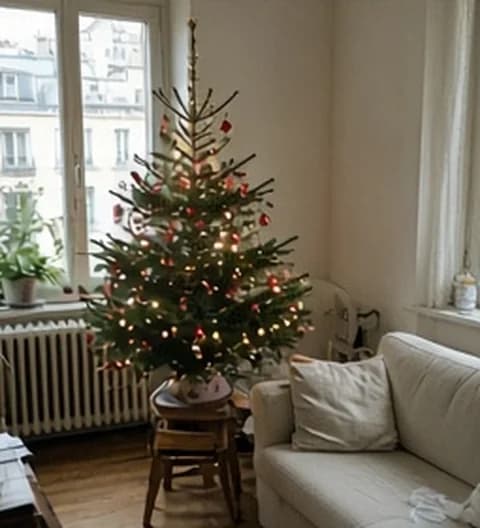 Un sapin imparfait installé dans un petit appartement en ville, photo partagée depuis France