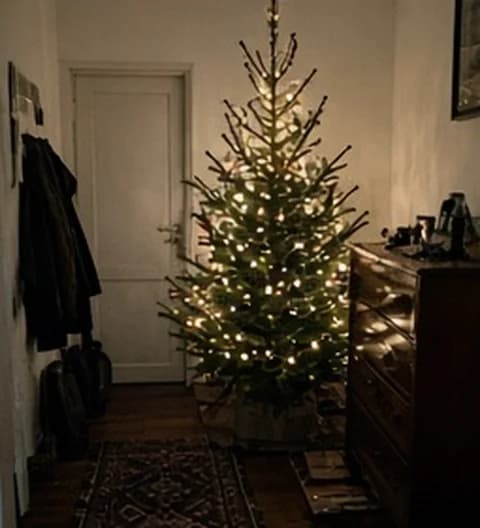 Un sapin imparfait installé dans un petit appartement en ville, photo partagée depuis Allemagne